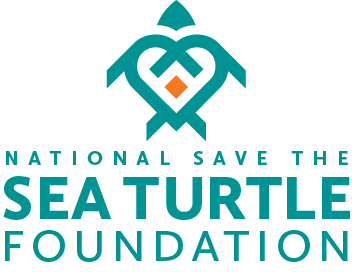 National Save The Sea Turtle Foundation National Save The Sea Turtle Foundation Logo